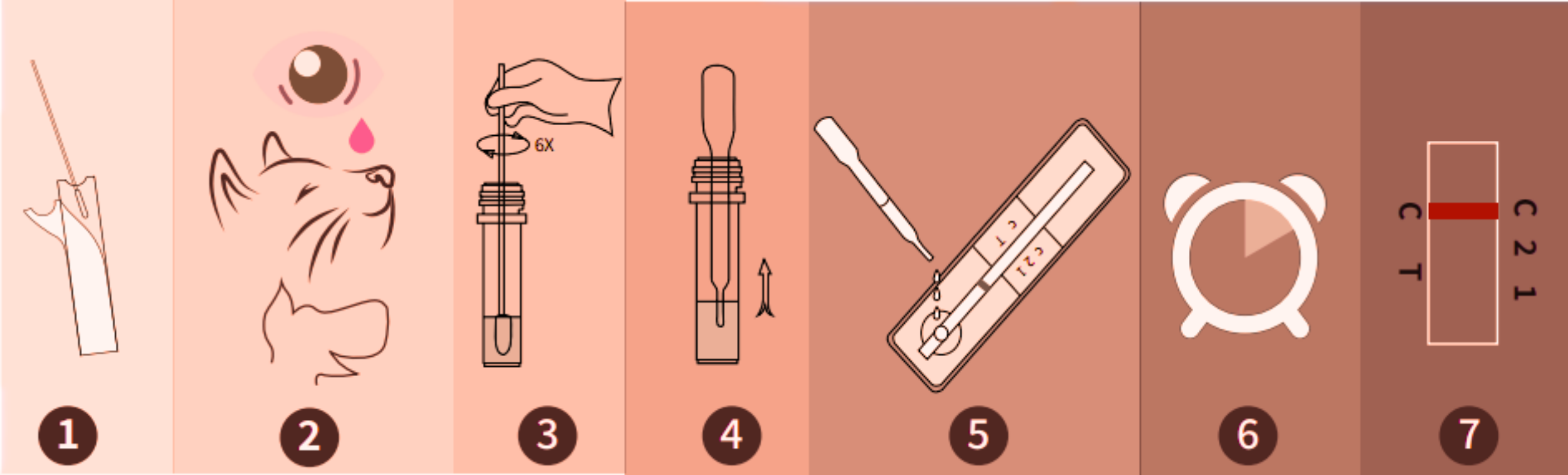 How to use Kit test for Cat