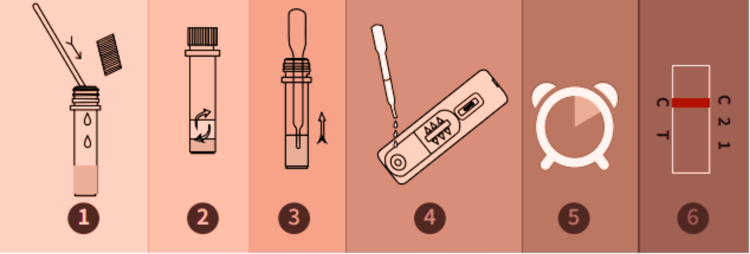 How to use Kit test for Dog